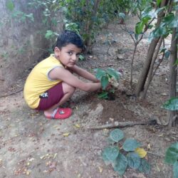 Van Mahotsav Week - Plantation drive at Seth Anandram Jaipuria School Satna (44)