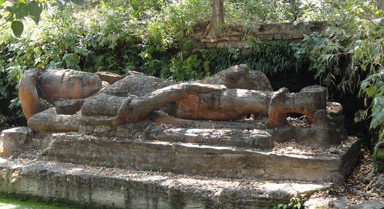 ram_shaiyya 1